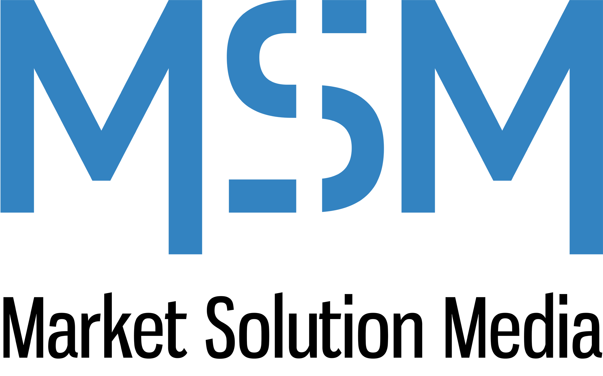 MSM Logo